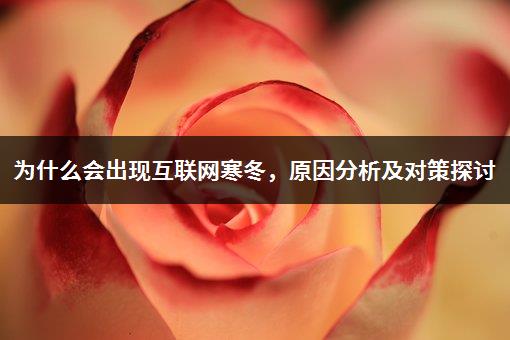 为什么会出现互联网寒冬，原因分析及对策探讨-1